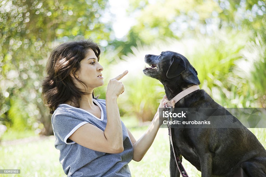 Woman Disciplining Dog A woman in her 40s pointing at a disciplining her black labrador retriever. Dog Stock Photo