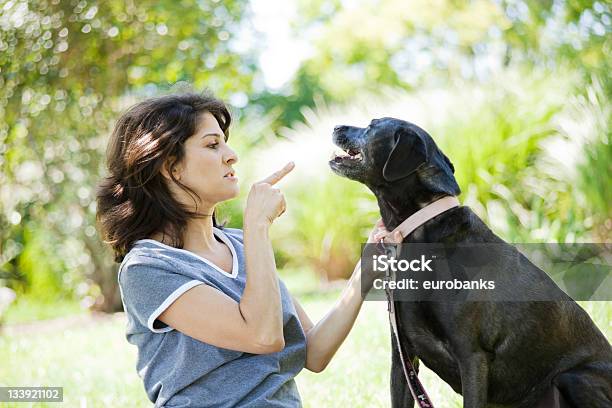 Woman Disciplining Dog Stock Photo - Download Image Now - Dog, Punishment, Women