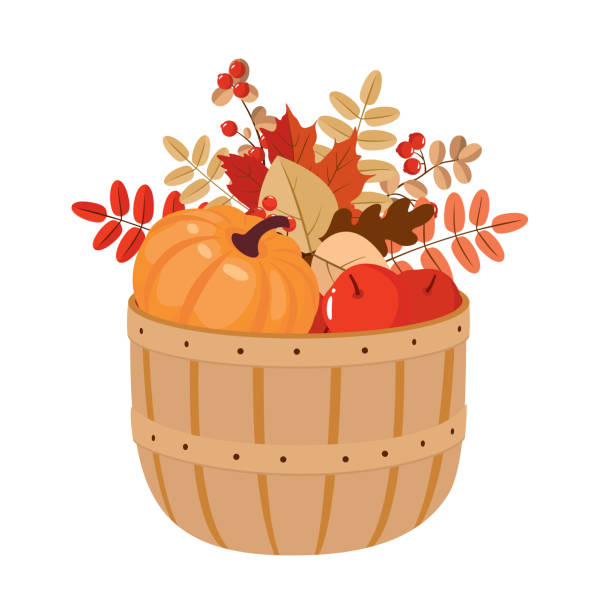 ilustrações, clipart, desenhos animados e ícones de colheita de cesta de abóbora - basket apple wicker fruit