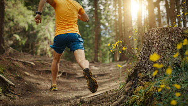istock Man trail running in the forest, training for healthy lifestyle 1339212984