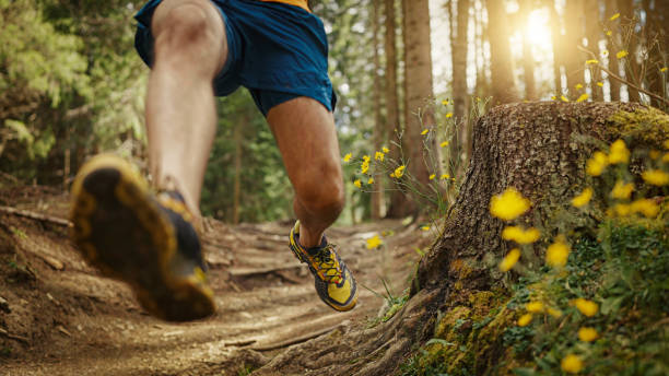 istock Man trail running in the forest, jumping on rough terrain 1339213079