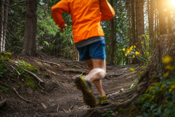 istock Man trail running in the forest 1339214056