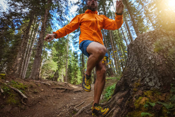 istock Man trail running in the forest, jumping on rough terrain 1339214062