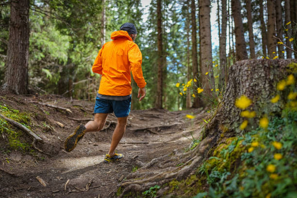 istock Man trail running in the forest 1339214066