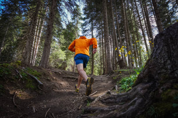 man trail running in the forest, training for healthy lifestyle - wood dirt road footpath exercising imagens e fotografias de stock