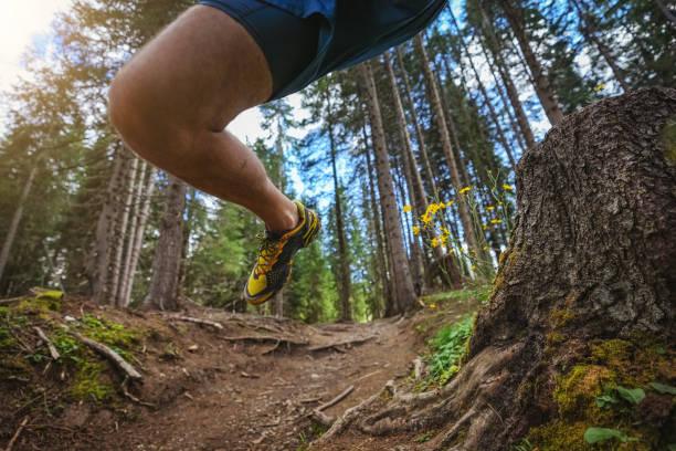 istock Man trail running in the forest, jumping on rough terrain 1339214528