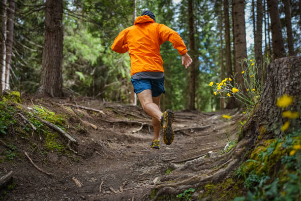 istock Man trail running in the forest, jumping on rough terrain 1339215235