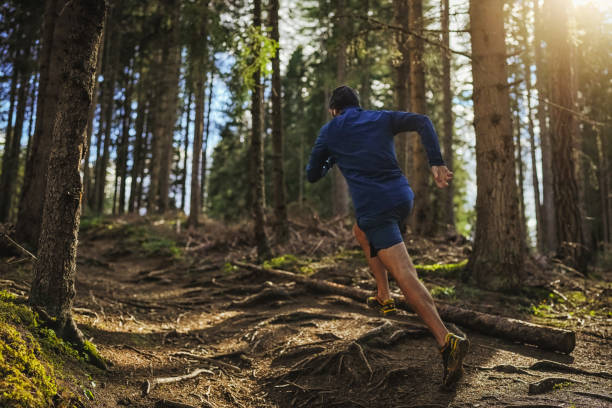 istock Man trail running in the forest, training for healthy lifestyle 1339215239