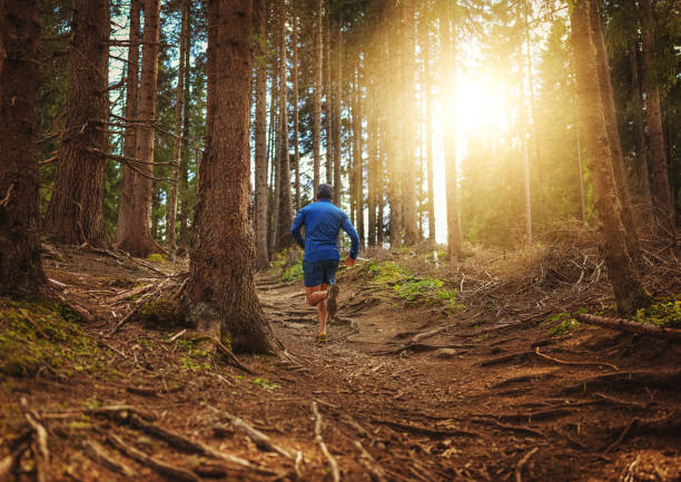 istock Man trail running in the forest 1339215349