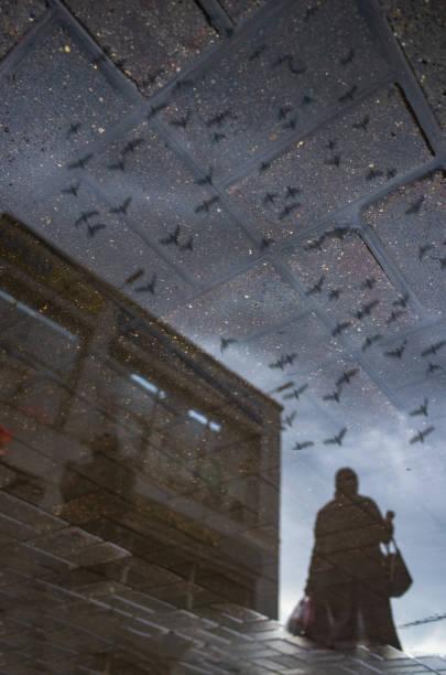 istock Blurred reflection on wet city sidewalk on rainy day 1339217025