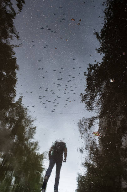 istock Blurred reflection on wet city sidewalk on rainy day 1339217083