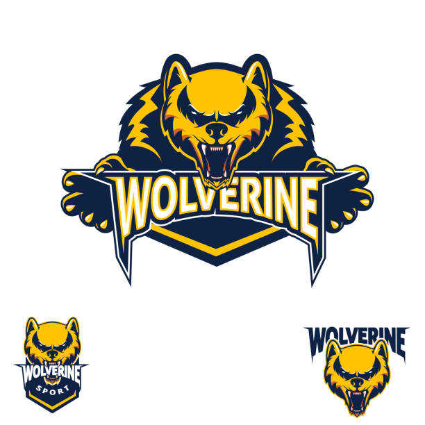 wolverine sportsymbol - maskottchen stock-grafiken, -clipart, -cartoons und -symbole