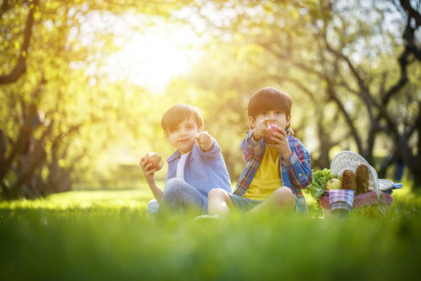 Two boys at picnic at public park