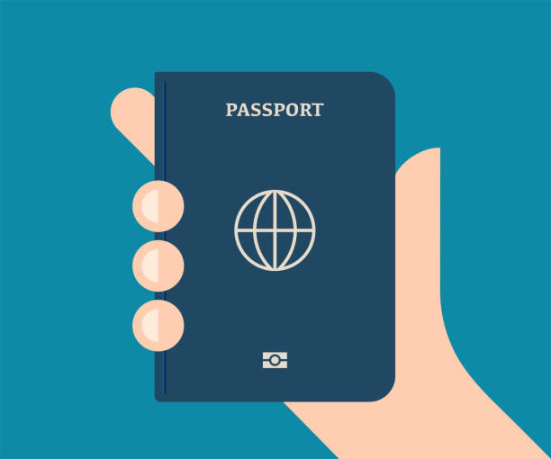 handhaltung eines regulären reisepasses - reisepass stock-grafiken, -clipart, -cartoons und -symbole