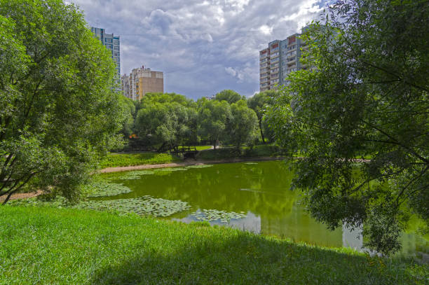 istock Pond in a residential area. Moscow. 1339227946
