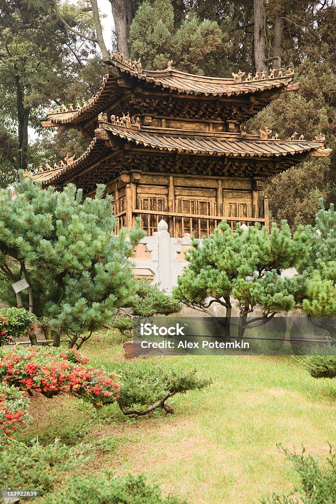 Brązowy Pagoda. Mnich Złoty Rozciągacz, Kunming, Younnan, południowa prowincja Chin - Zbiór zdjęć royalty-free (Architektura)