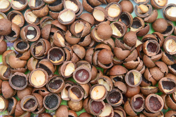 istock The cracked shells of macadamia nuts are lying on the table 1339228572