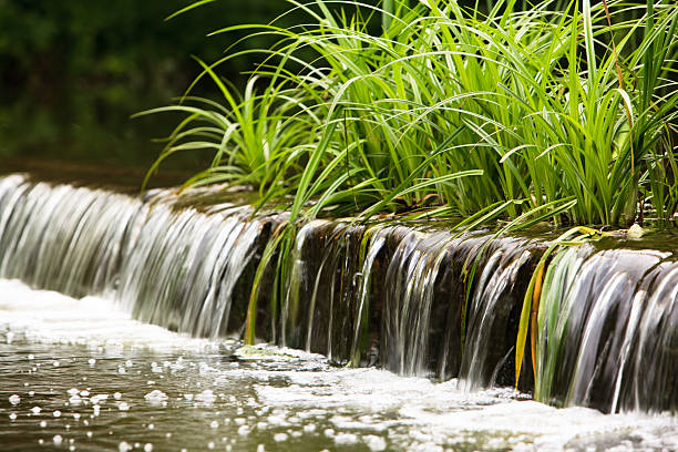 Little artificial waterfall with green sedge Little artificial waterfall with green sedge carex pluriflora stock pictures, royalty-free photos & images