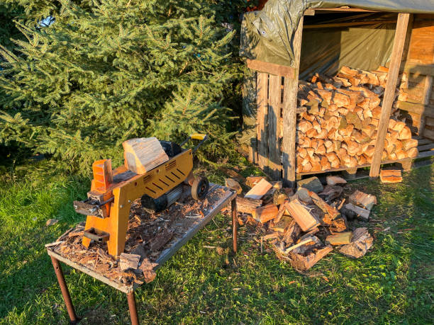istock Log splitter with firewood for the winter 1339231938
