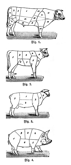 Diagram cutting meat of cow pig and sheep for butcher 1898
Original edition from my own archives
Source : Brockhaus 1898
