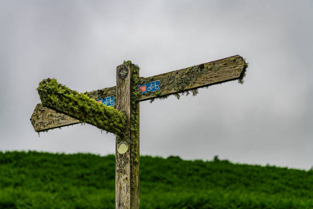 Lichen and Moss covered wooden signpost