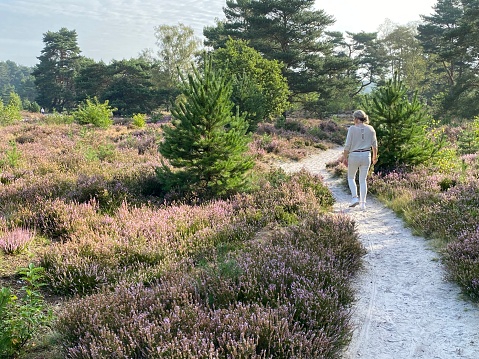 Woman having a walk in the after summer heath