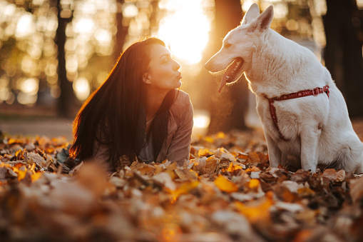 Beautiful young woman with her dog lying on fallen autumn leaves in park while taking a break from a walk at sunset