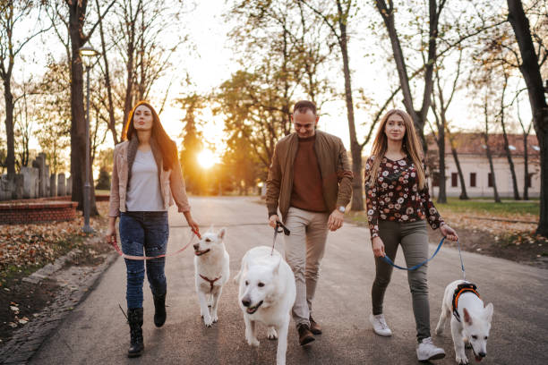 istock Happy family in autumn walk 1339240004