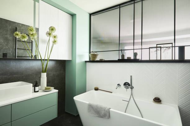 intérieur de salle de bain élégant. douche, toilettes et baignoire dans la petite chambre. meubles verts, murs gris. style minimaliste un concept d’amour végétal. - bathroom living room contemporary indoors photos et images de collection