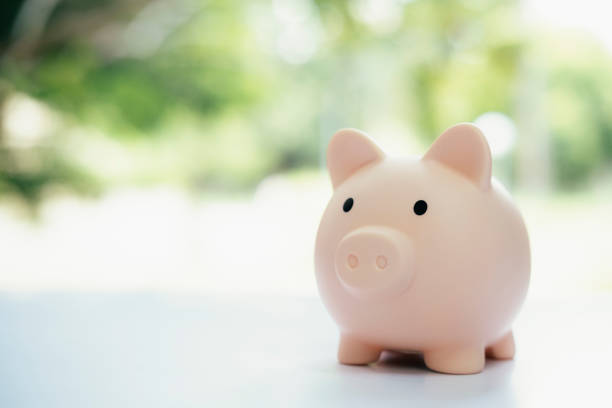 istock Finnace , Saving money and investment concepts. 1339246802