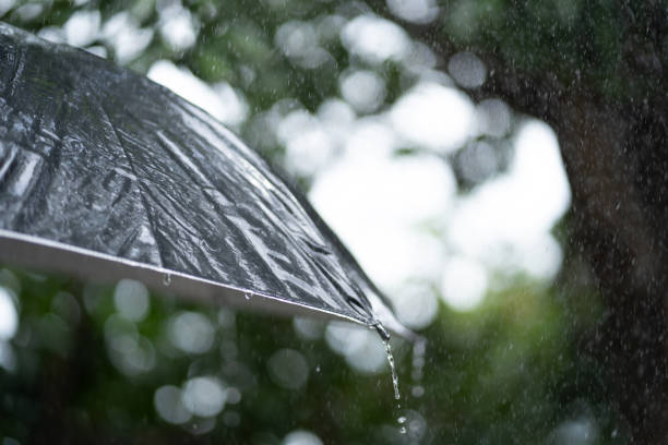 istock Rain drops falling from a black umbrella. Rainy weather or protection 1339250637