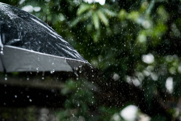 istock A person with an umbrella in the rain. 1339250688