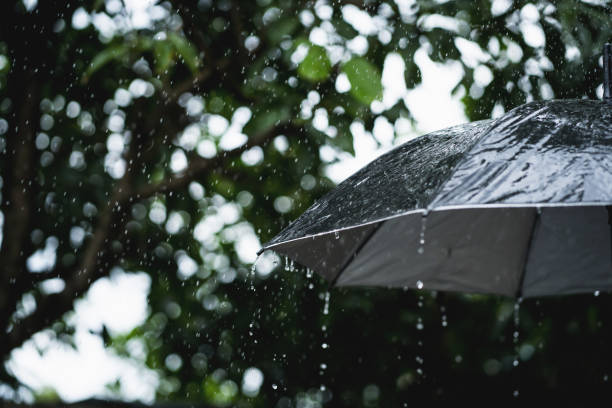 istock Back Umbrella in the rain in vintage tone. 1339250699