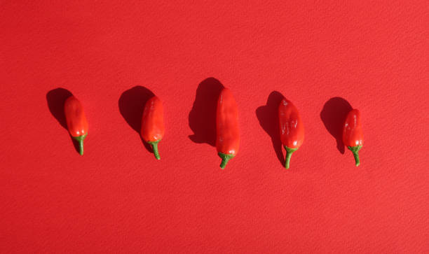 Stack of red habanero chilis (Capsicum chinense) on a market stall.