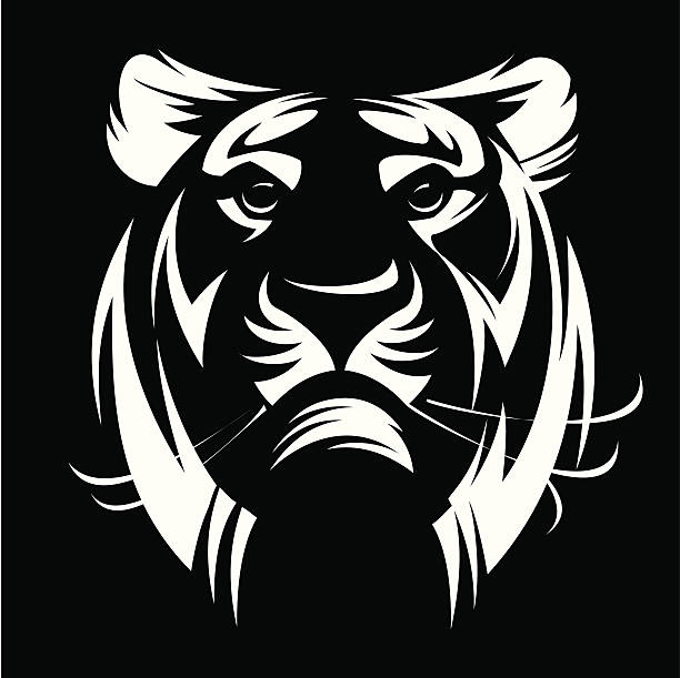 Cabeça de tigre em um fundo preto - ilustração de arte em vetor