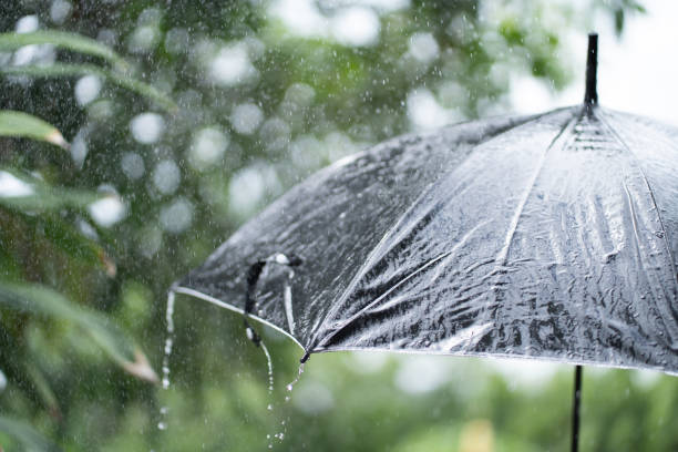 istock Rain drops falling from a black umbrella concept for bad weather, winter or protection. 1339251635