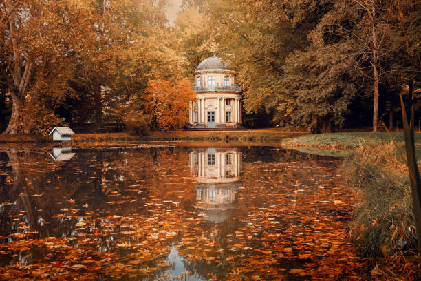 istock The English Pavilion in Dresden Pillnitz 1339254405
