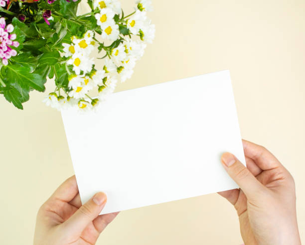 istock Woman holding a blank card with both hands 1339254775