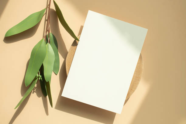 istock Card and shadow on beige background 1339254870