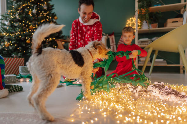 390+ Family With Dog Decorating Christmas Tree Stock Photos ...