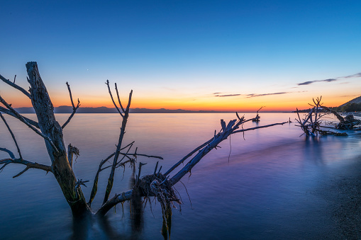 Beautiful sunset on the lake. The old tree stump on the shore, long exposure water.