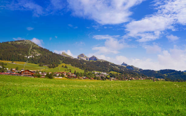 istock Leysin in Alps at Ormont Dessus in Switzerland 1339257756
