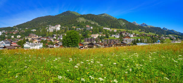 istock Leysin in Alps at Ormont Dessus in Switzerland 1339257797