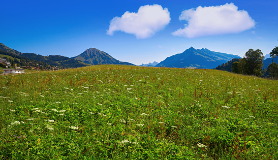 Leysin in Alps at Ormont Dessus in Switzerland Swiss