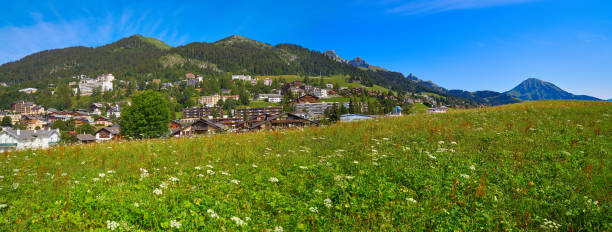 Leysin in Alps at Ormont Dessus in Switzerland