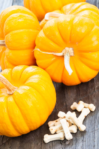 istock Halloween concept with pumpkins and bones candy 1339260625