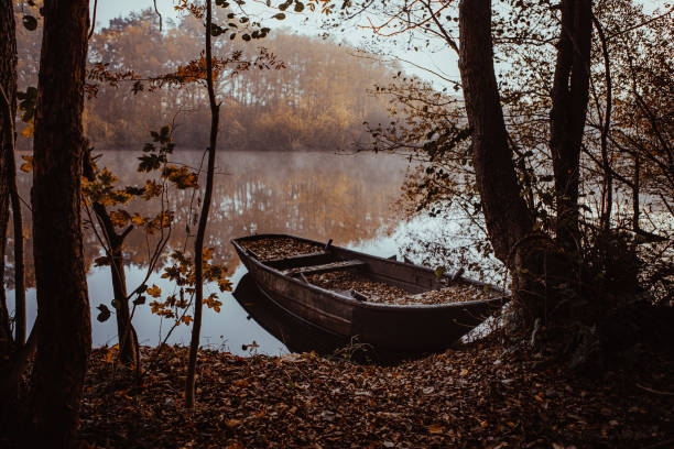 Frederiksberg Have, Copenhagen, Denmark - November 7th 2022: This is a public park in the center of Copenhagen where it is possible to be transported round on the canals in rowboats