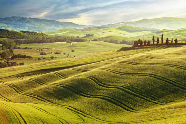 istock Landscape in Tuscany 1339266965