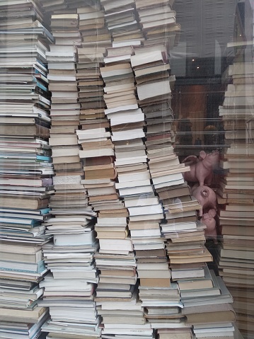 Three pigs get stuck in between books. A bookshop in Paris
