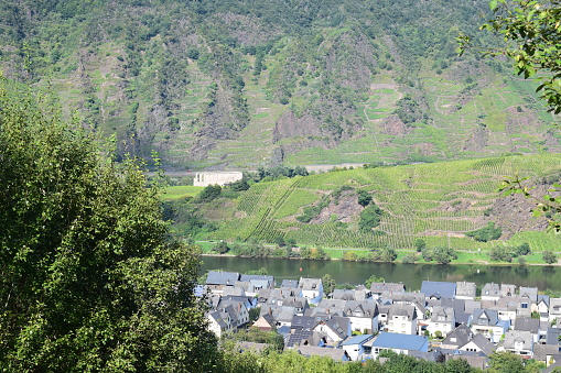 Mosel valley with village and monastery ruin